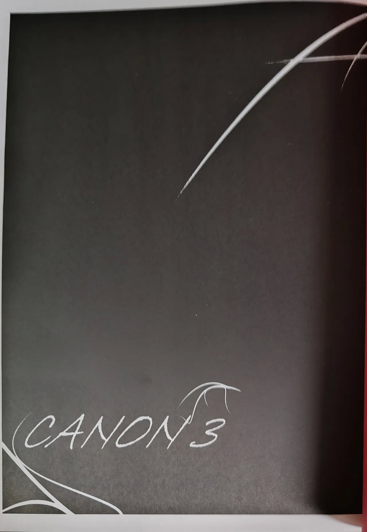 [瞬间风速(さたけ)] CANON3 [ダンバジ](デビルメイクライ) [中国翻訳] - Hentaiaz.com - 2