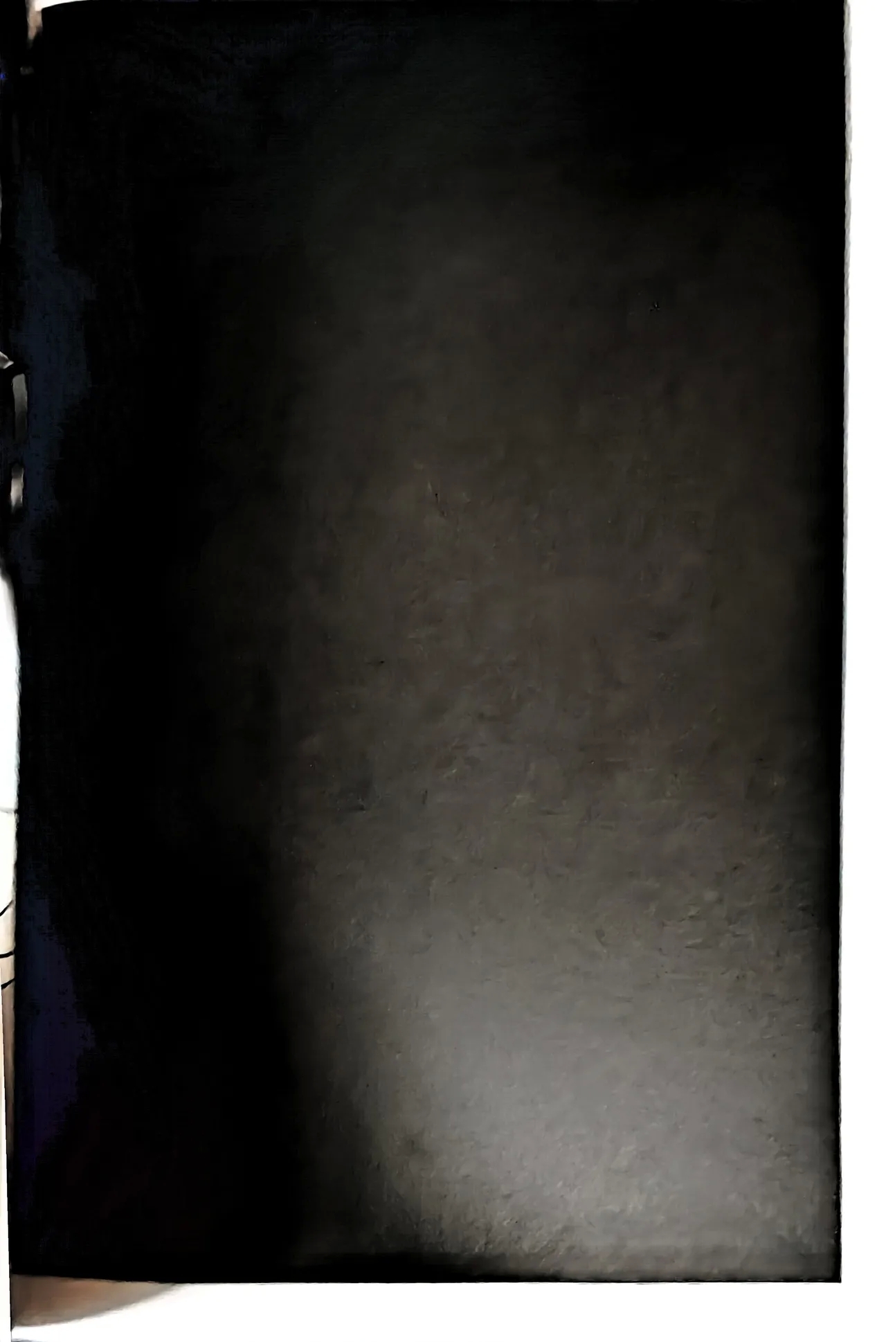 [瞬间风速(さたけ)] CANON3 [ダンバジ](デビルメイクライ) [中国翻訳] - Hentaiaz.com - 3