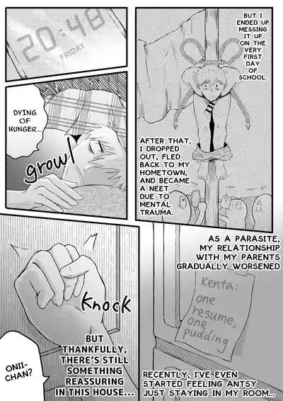 お兄ちゃん、僕の子供を産んでよ 3