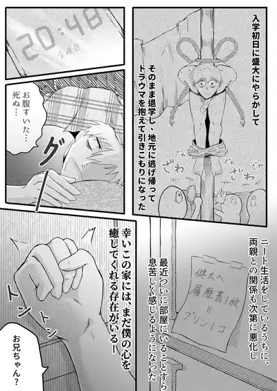 お兄ちゃん、僕の子供を産んでよ 3