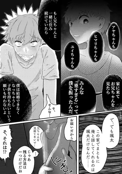 お兄ちゃん、僕の子供を産んでよ 7