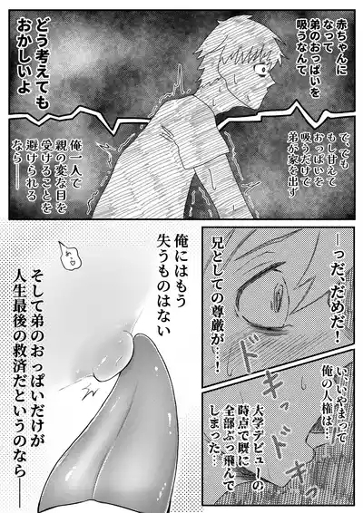 お兄ちゃん、僕の子供を産んでよ 9