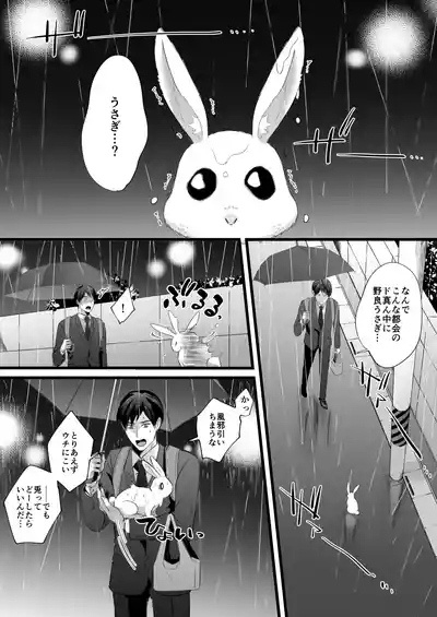 落し物は発情うさぎ 2