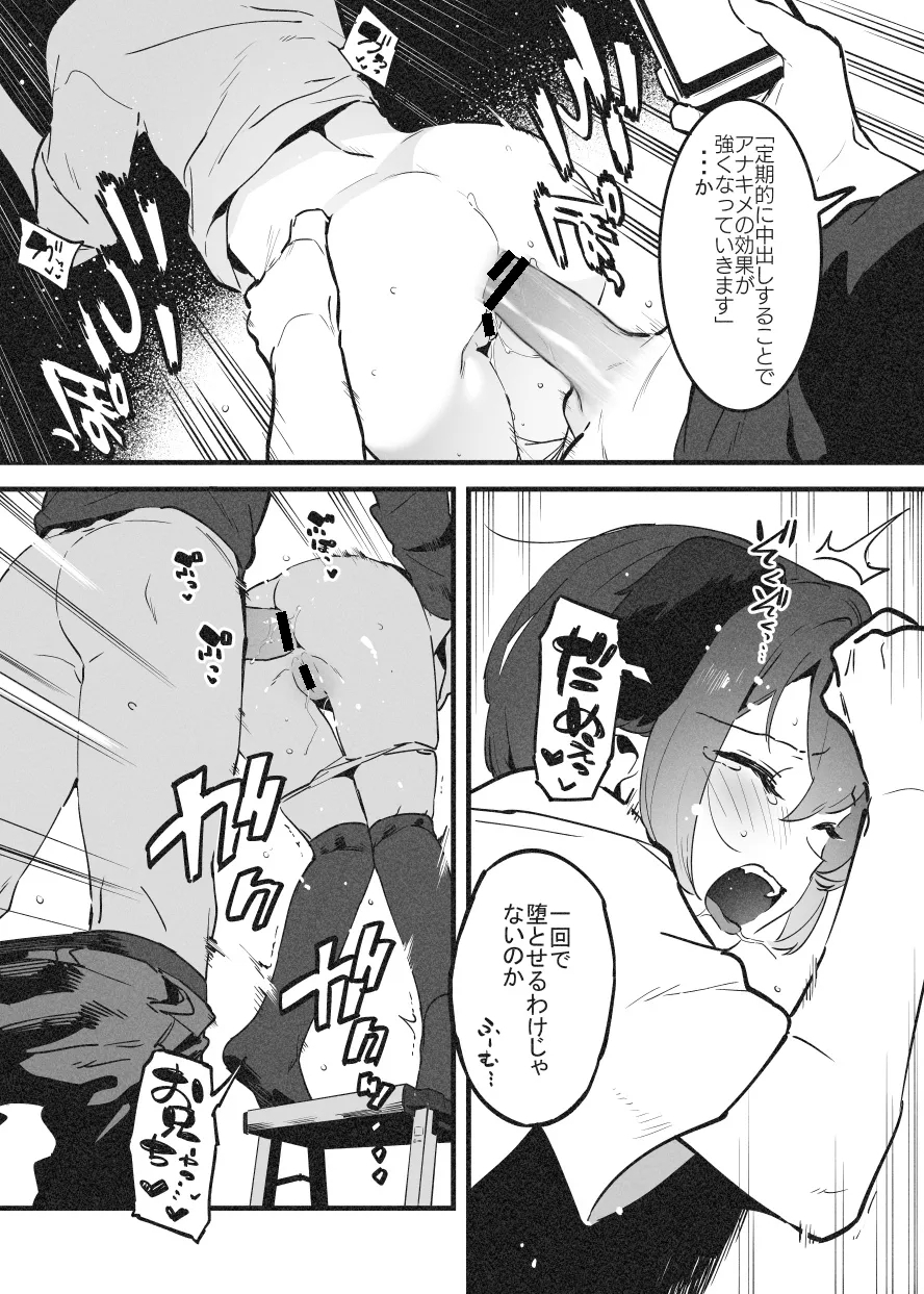 アナキメ1・・・これまでのまとめ - Page 11