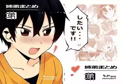 「姉弟まとめ：弟」プレビュー版！ 1