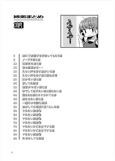 「姉弟まとめ：弟」プレビュー版！ 2