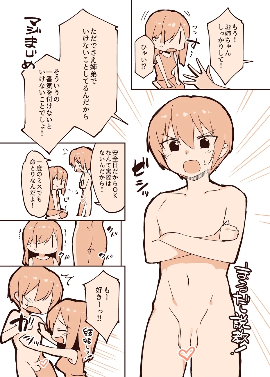 姉弟の何か 2