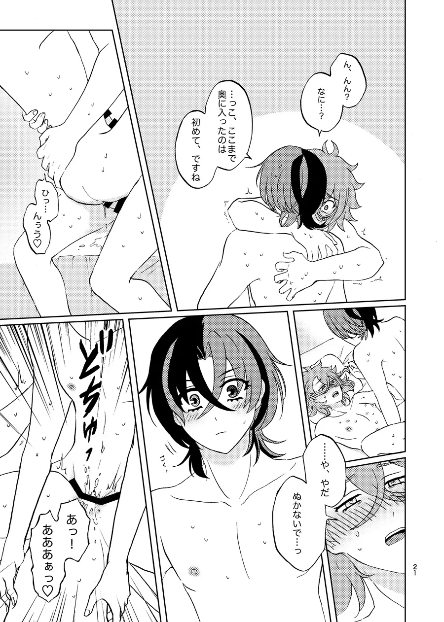 めちゃくちゃにしてと言われてもっ！ - Page 20