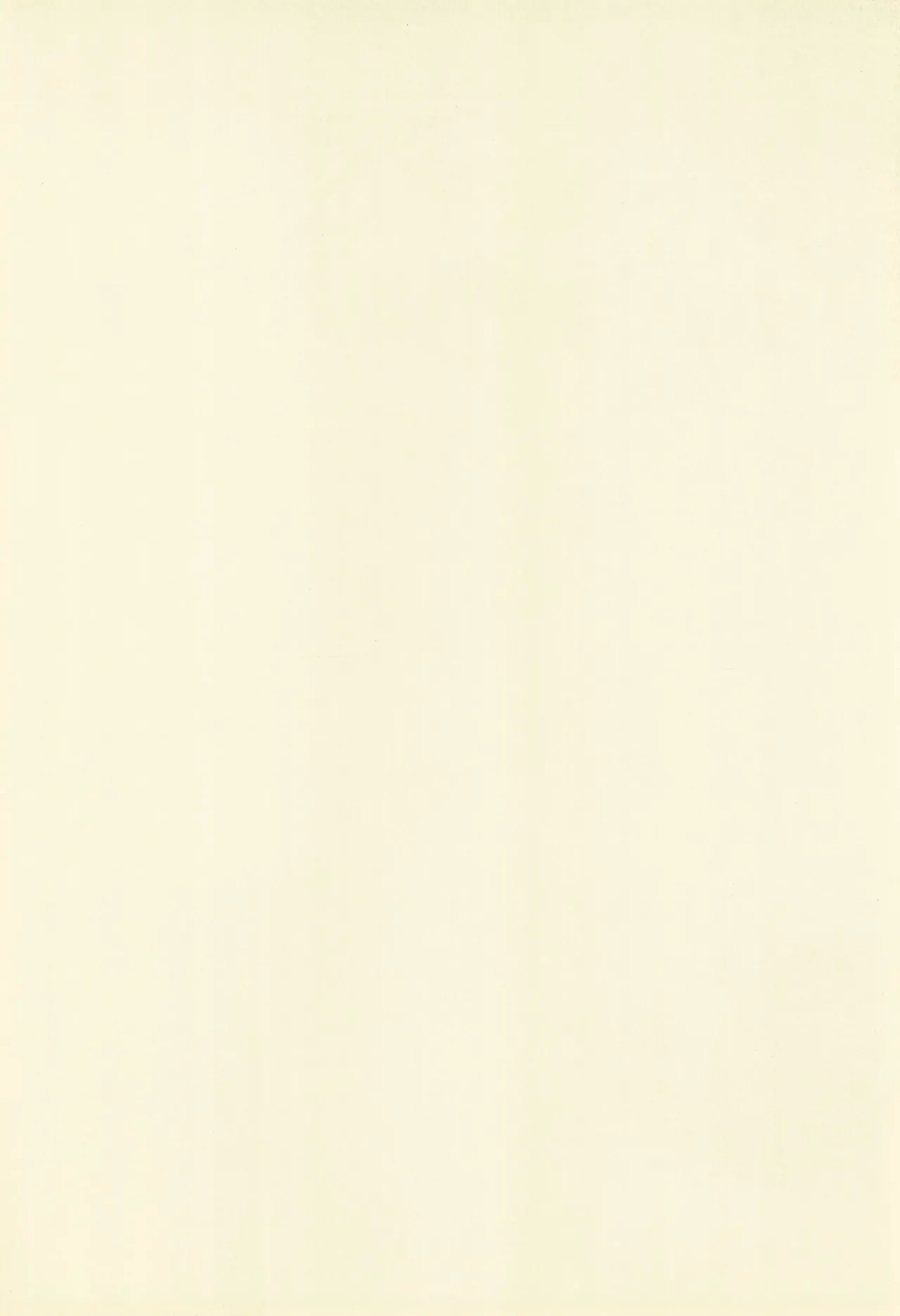 POLON de POLON - Page 4