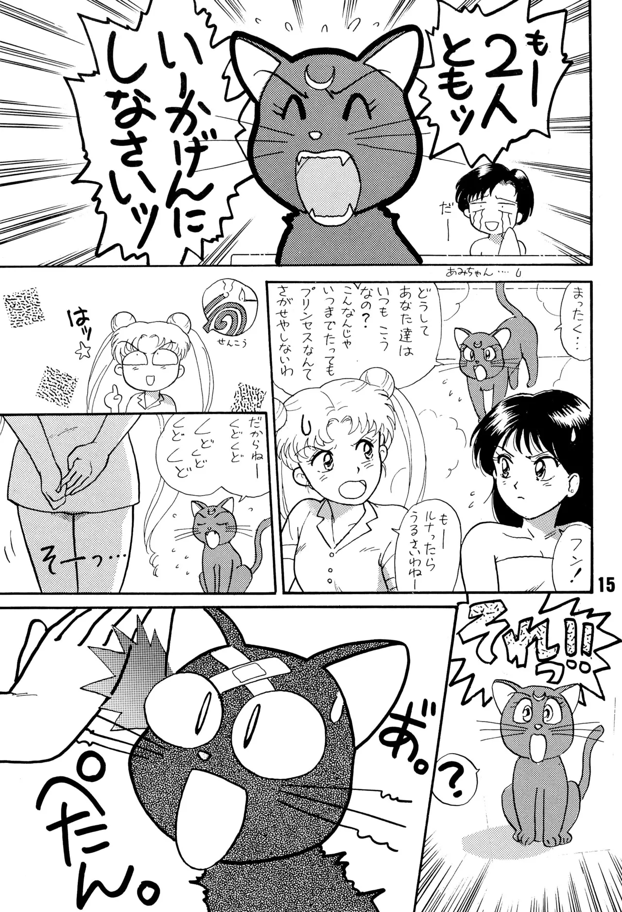Sailor Moon Jinsei - Page 15