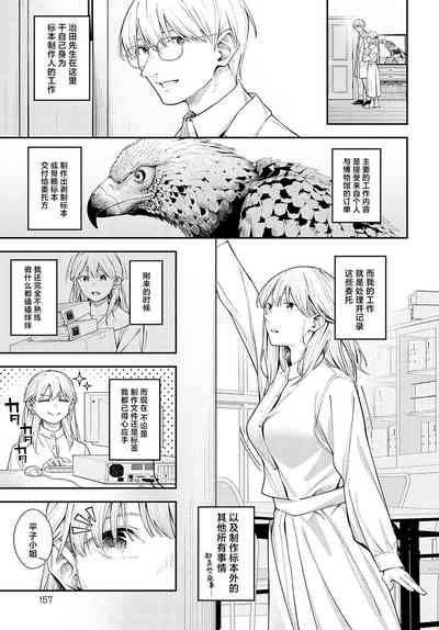 Yumemitori | 梦见鸟 2