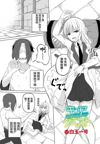 キュアクエスト 1