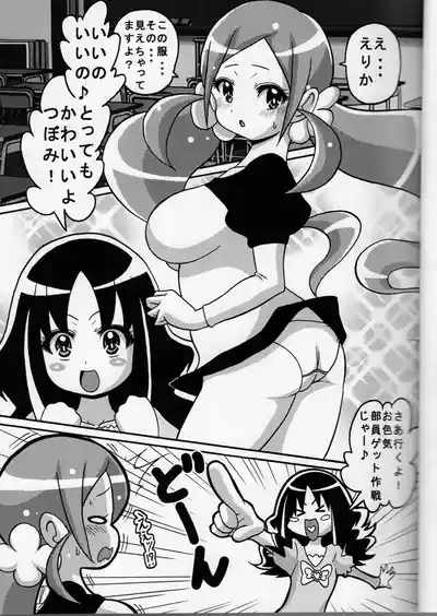 Tsubomi Mix 2