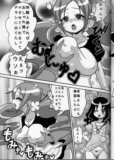 Tsubomi Mix 6