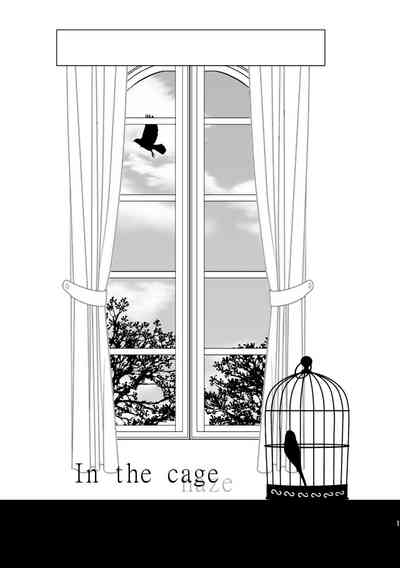 In the cage/haze 1