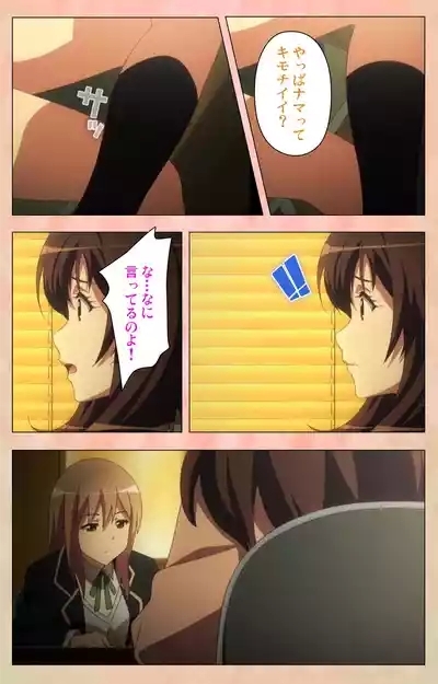 Marriage Blue 6