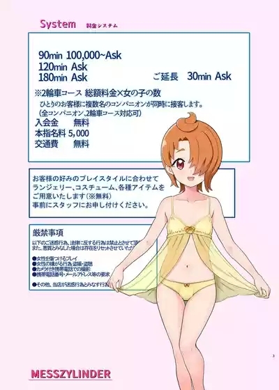 Honjitsu Shukkin! Precure All Stars 2.5 2