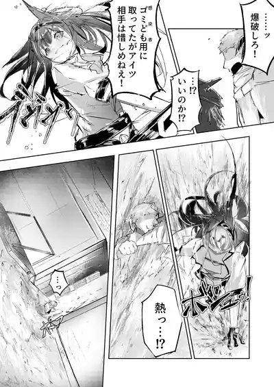強制人道介入 6