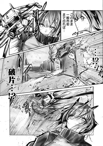 傭兵の人権感 5