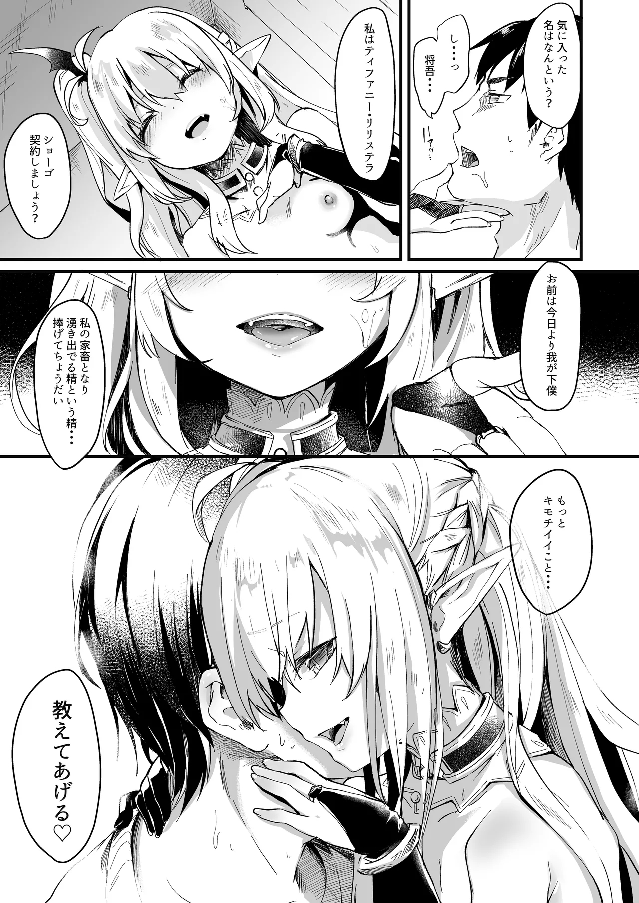 Boku wa Chiisana Succubus no Shimobe 1 - Page 12