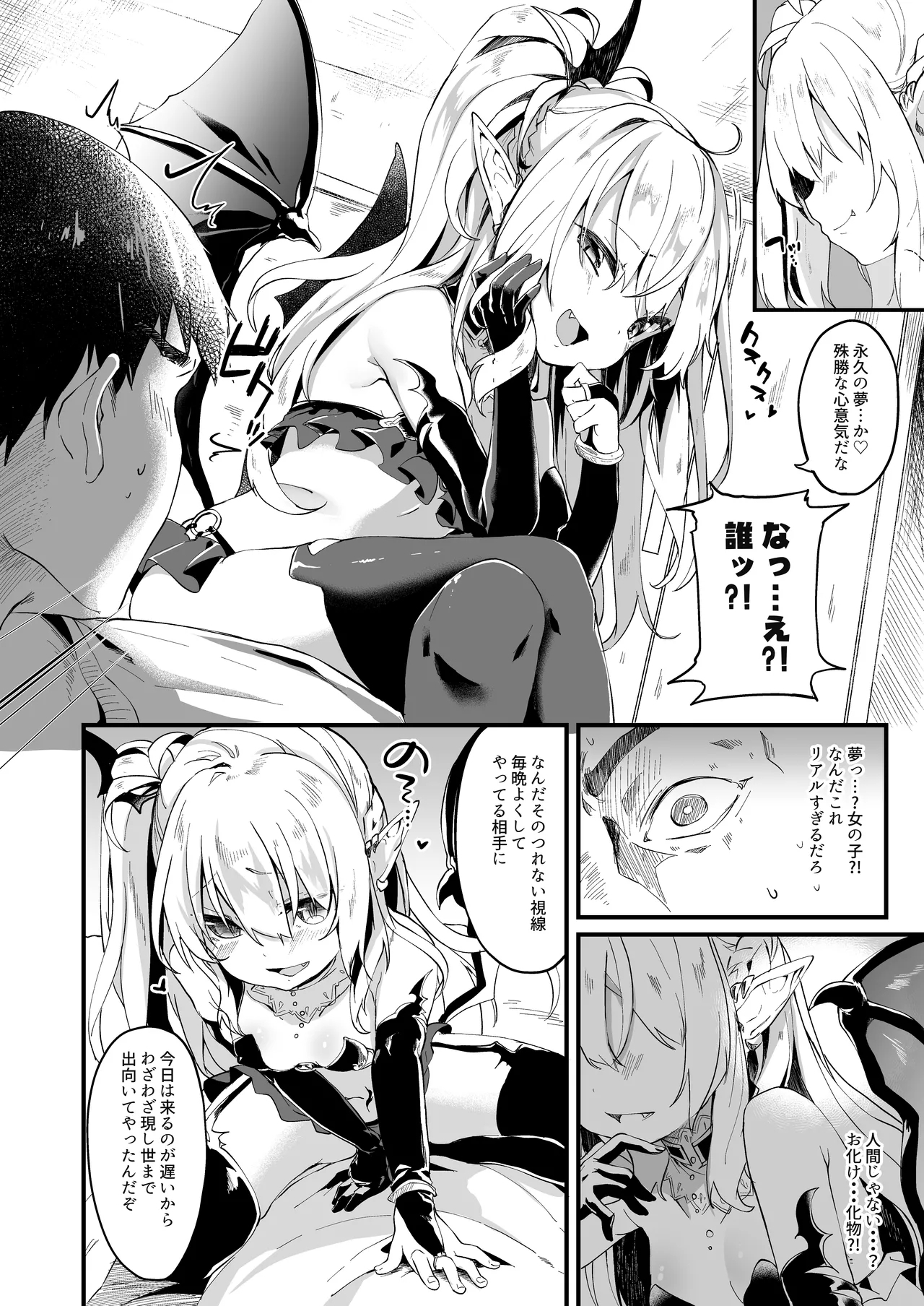 Boku wa Chiisana Succubus no Shimobe 1 - Page 3