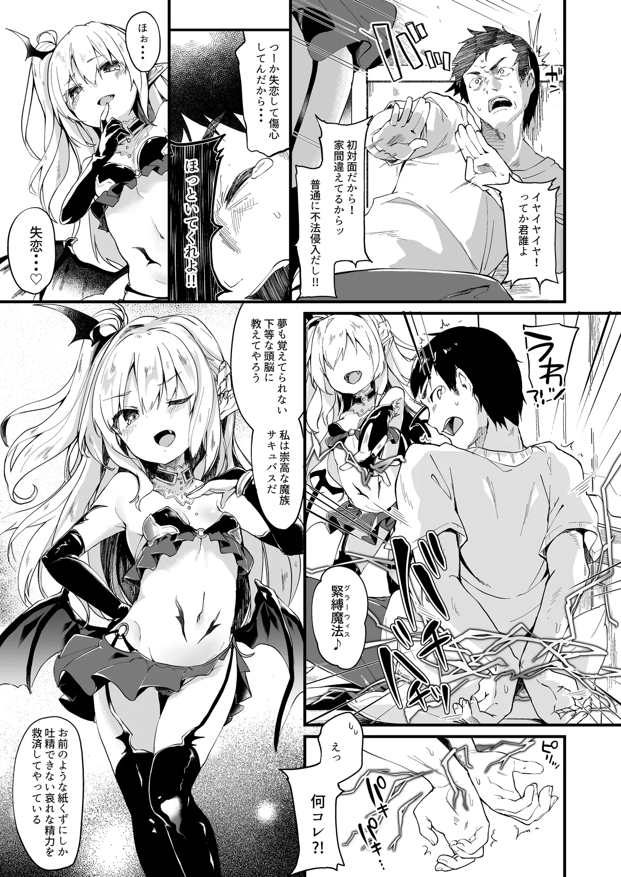 Boku wa Chiisana Succubus no Shimobe 1 - Page 4