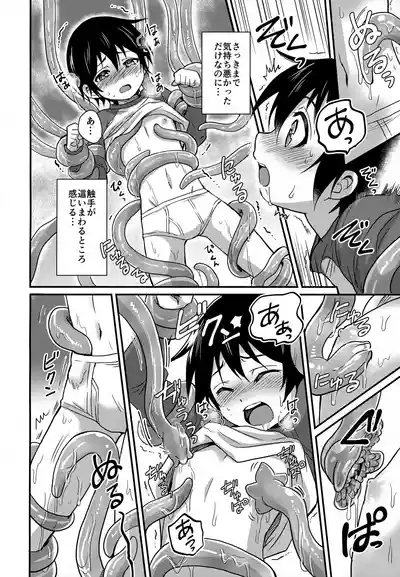 Wonder Dream 10
