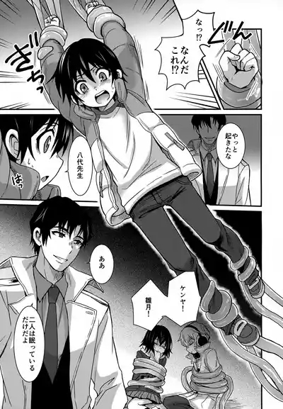 Wonder Dream 5