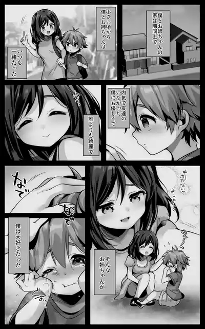 毎日のようにヌいてくれる大好きなお姉ちゃんとセックスしたい 5