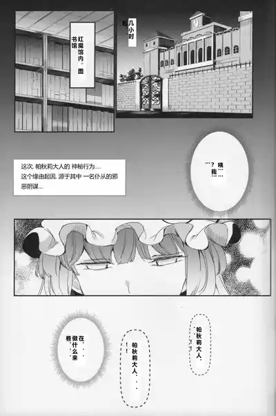 Totsuzen Gekiiki Patchouli-sama 3