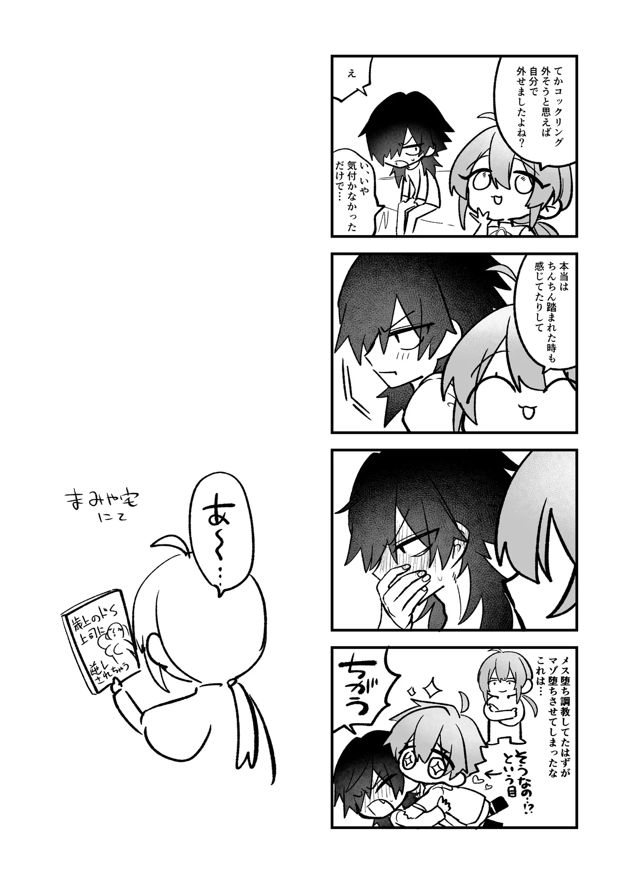 嫉妬した双子にえっちなお仕置きされちゃう本 - Page 32