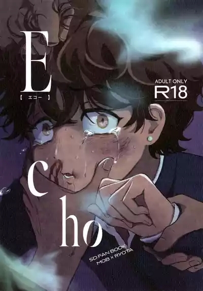 Echo 1