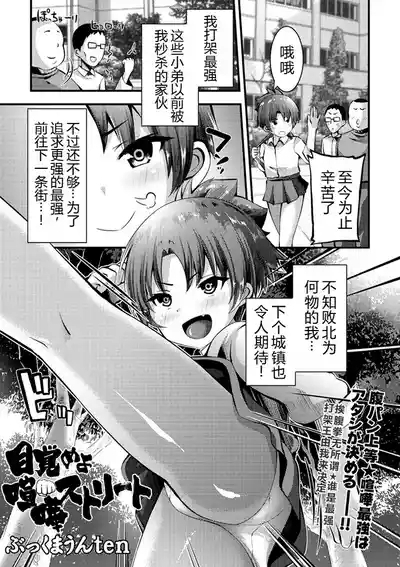 Mezame yo Kenka Street | 觉醒吧，街头斗殴 2
