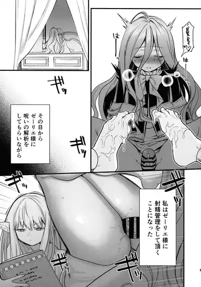 Deshi no Osewa wa Dai Mahoutsukai no Oshigoto 10