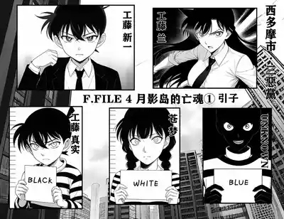 月影岛的亡魂①（detective conan） 10