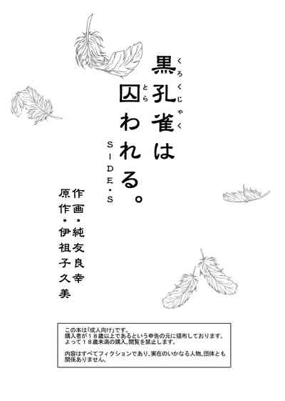 黒孔雀は囚われる。 SIDE-S 3