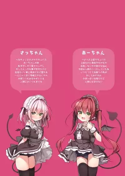 ごほうしサキュバスちゃん 3