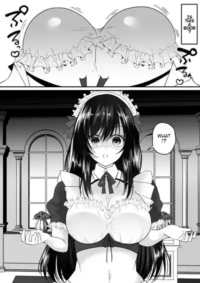 TS Gohoushi Maid 5