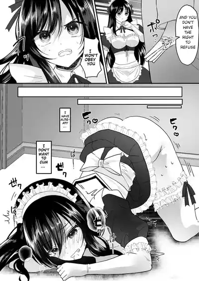 TS Gohoushi Maid 7