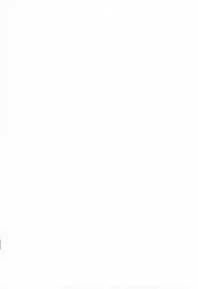 Seita-kun wa Manken no Omocha 3