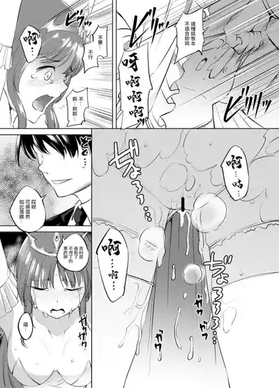 Feena fam Earthlight-Sama Manga Grayscale Ban 4