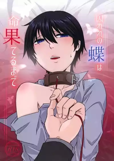 Toraware no Chou wa Inochi Hateru Made 1