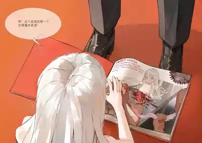 菲莉茜雅的演出相册集 2