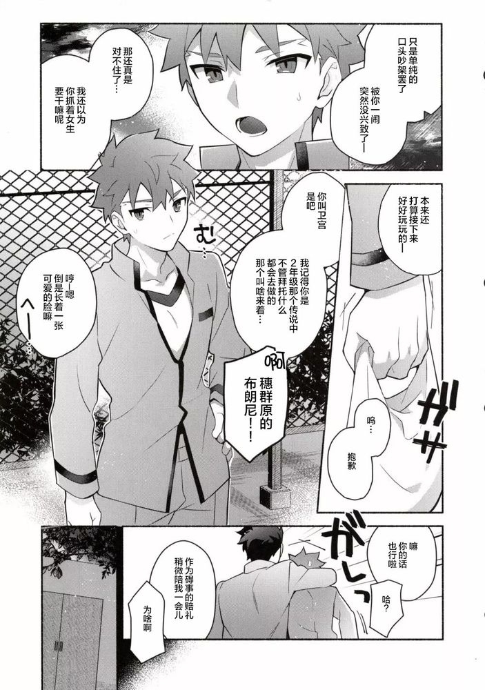 穂群原のブラウニー衛宮士郎即ハメ本 Chinese - Page 4
