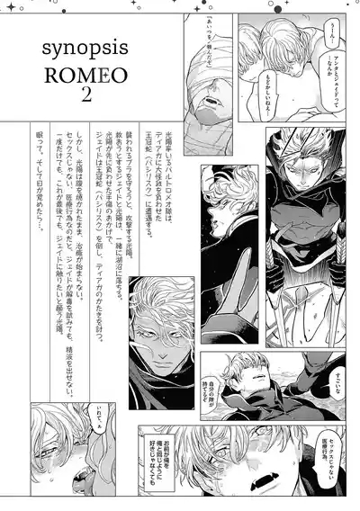 ROMEO vol.3 7