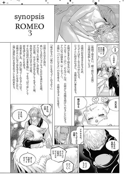 ROMEO vol.4 7