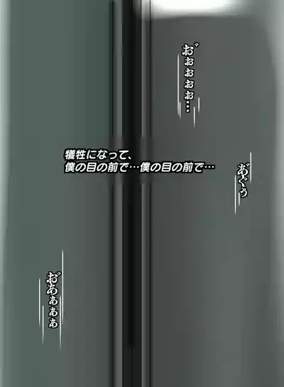 箱化処理される超昂閃忍ハルカ 4