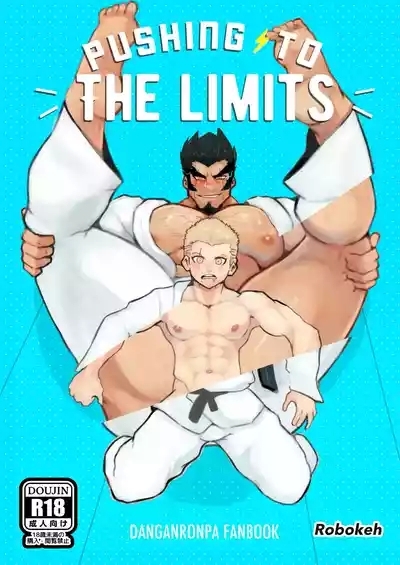 Pushing to the Limits 1