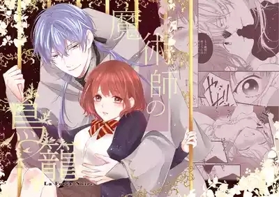 Majutsuforenowāru | 魔術師的鳥籠 1