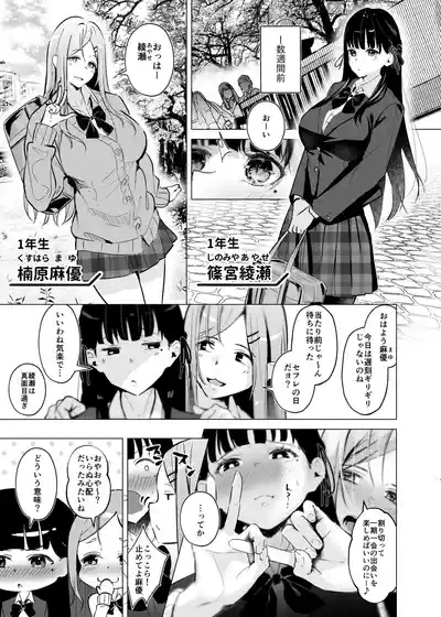 少子化対策で巨乳JKはセフレが必修科目です♪ 4